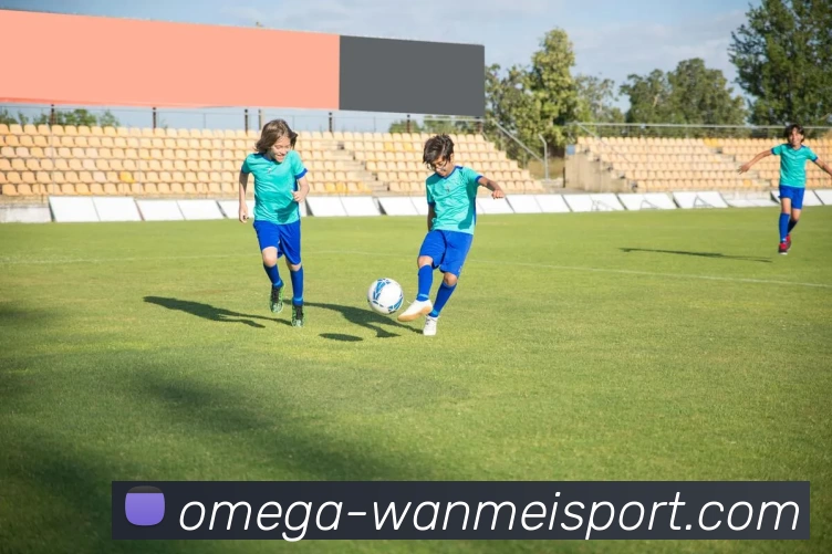 完美体育APP 封面图